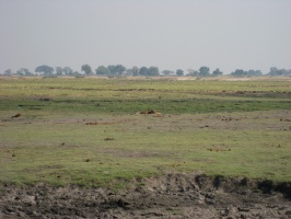 img-137