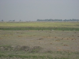 img-138