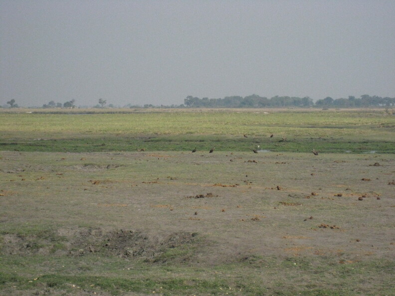 img-138.jpg