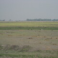img-138