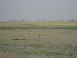 img-139