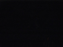 img-14