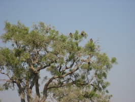 img-140