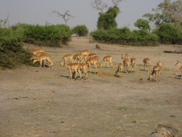 img-141