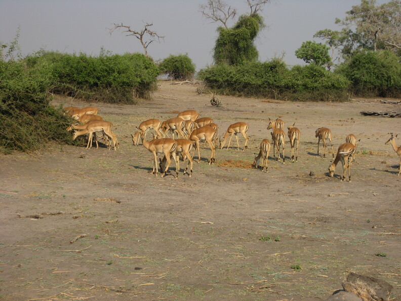 img-141.jpg