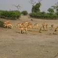 img-141