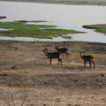 img-142