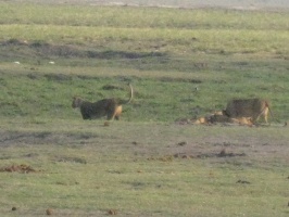 img-145