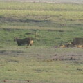 img-145