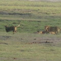 img-146