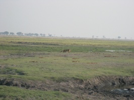 img-147