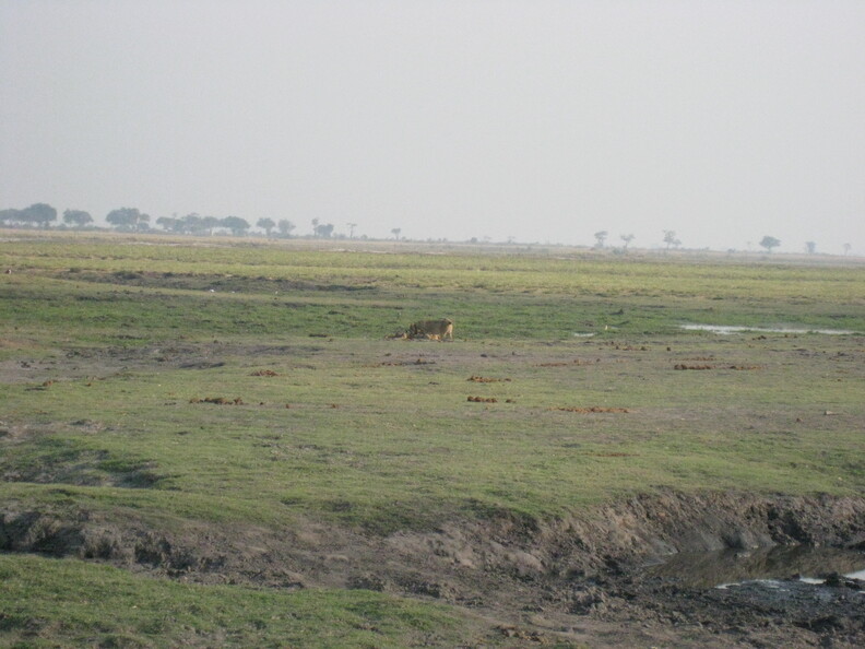 img-147.jpg