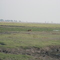 img-147