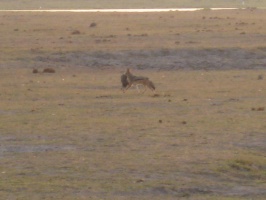 img-148