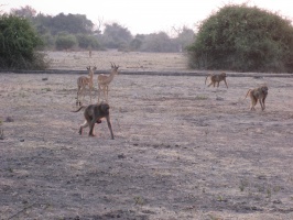 img-150