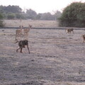 img-150