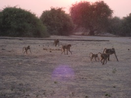 img-151