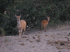 img-152