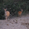 img-152