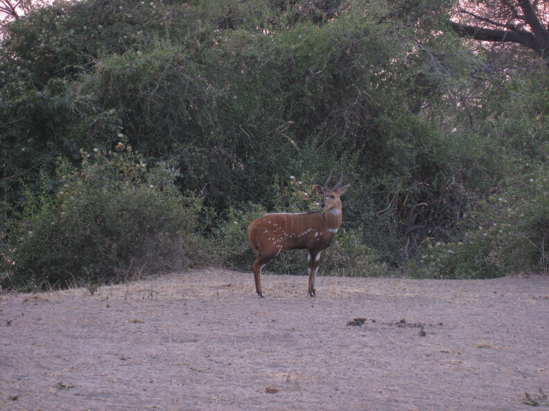 img-153.jpg