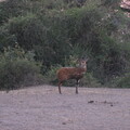 img-153