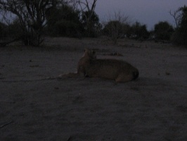 img-159