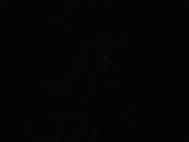 img-16