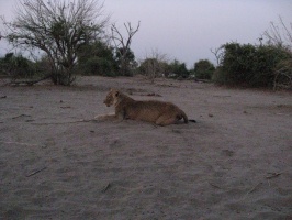 img-160