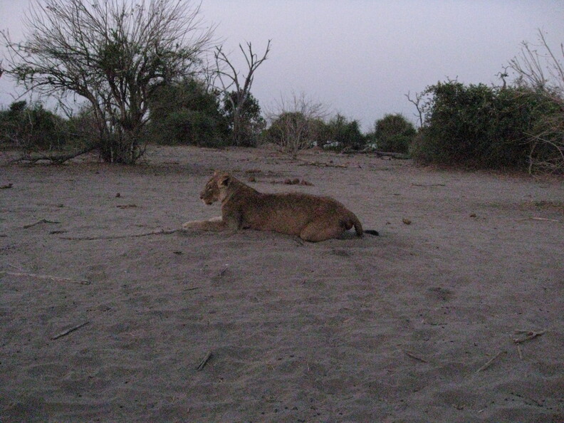 img-160.jpg
