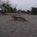 img-160