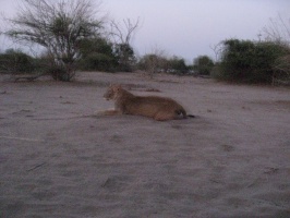 img-161