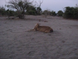 img-162
