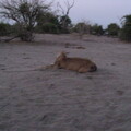 img-162