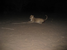 img-163