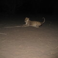 img-163