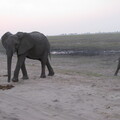img-164