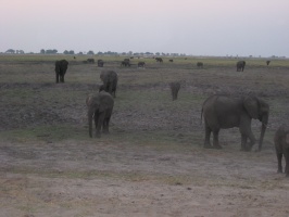 img-165