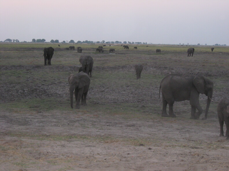 img-165.jpg