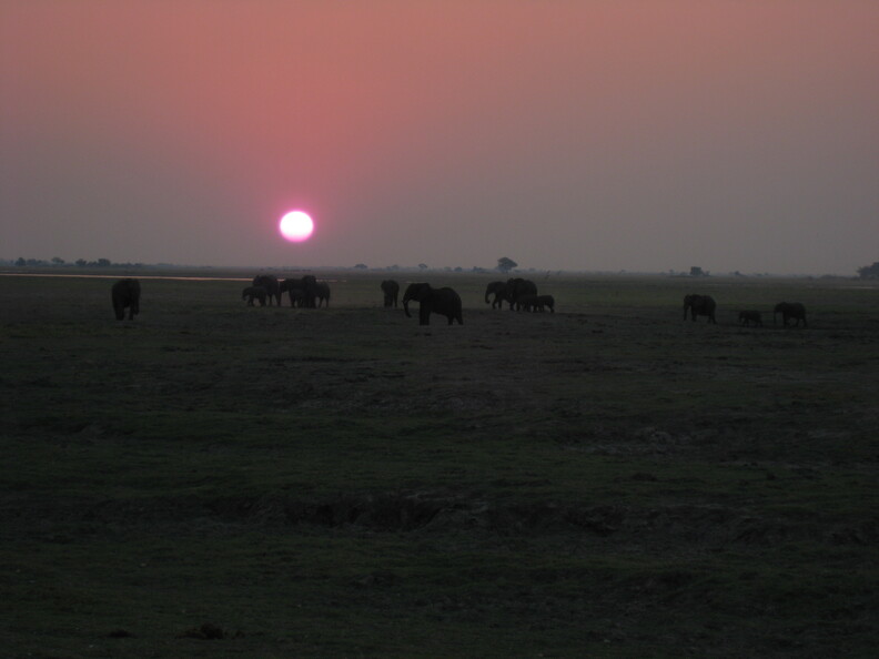 img-166.jpg