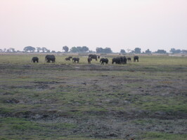 img-174