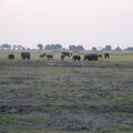img-174