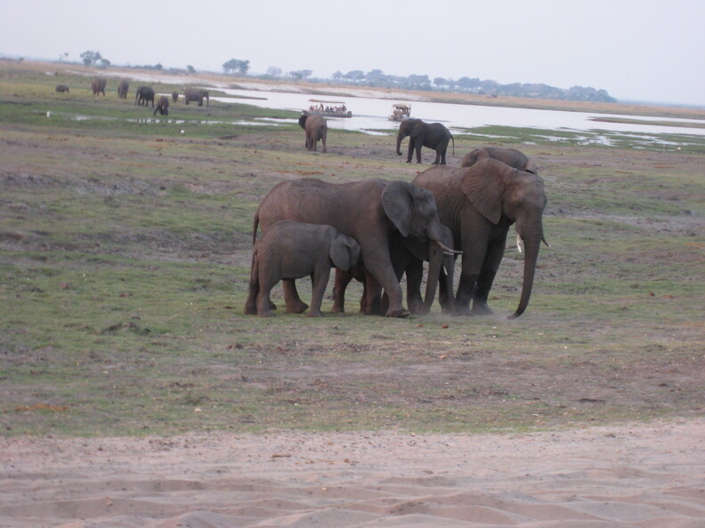 img-175.jpg