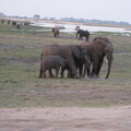 img-175