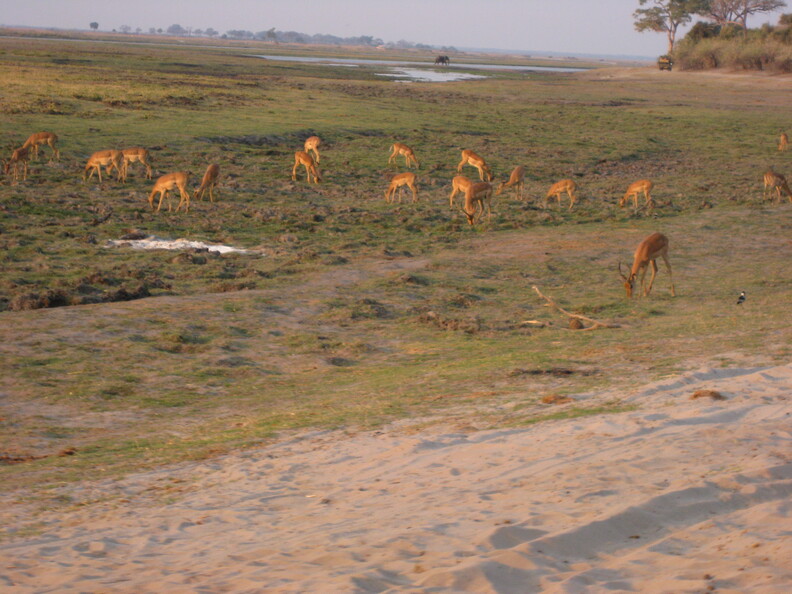 img-176.jpg