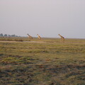 img-177