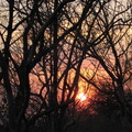 img-18