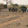img-185