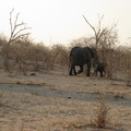 img-186