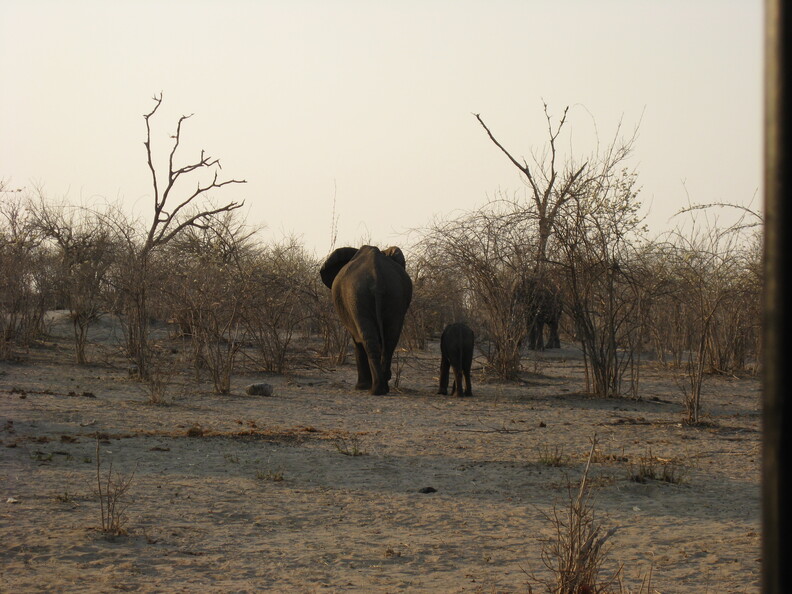 img-187.jpg