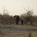 img-187
